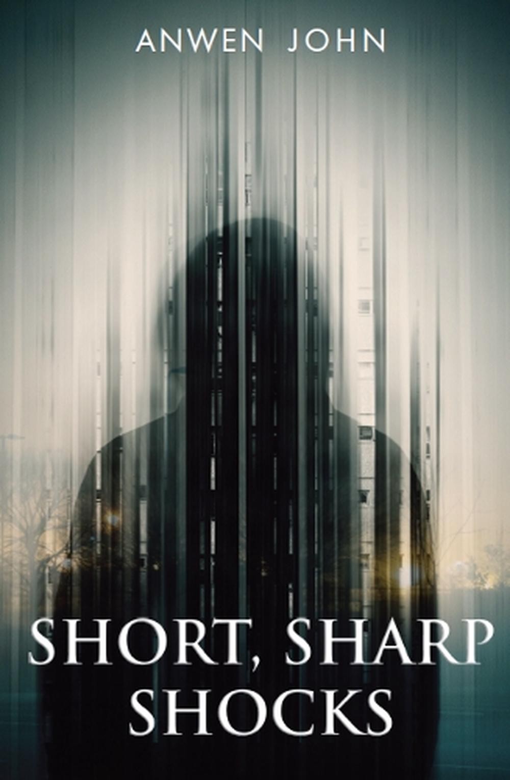 Short, Sharp Shocks by Anwen John Paperback Book