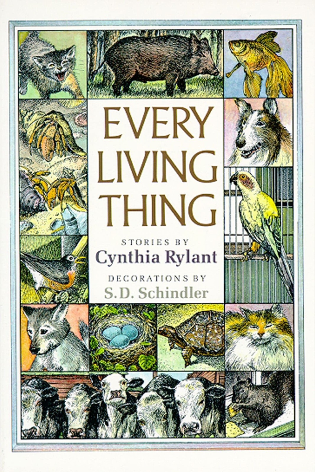 Every Living Thing – Rylant, Cynthia|Schindler, S.D. – Good – See condition …