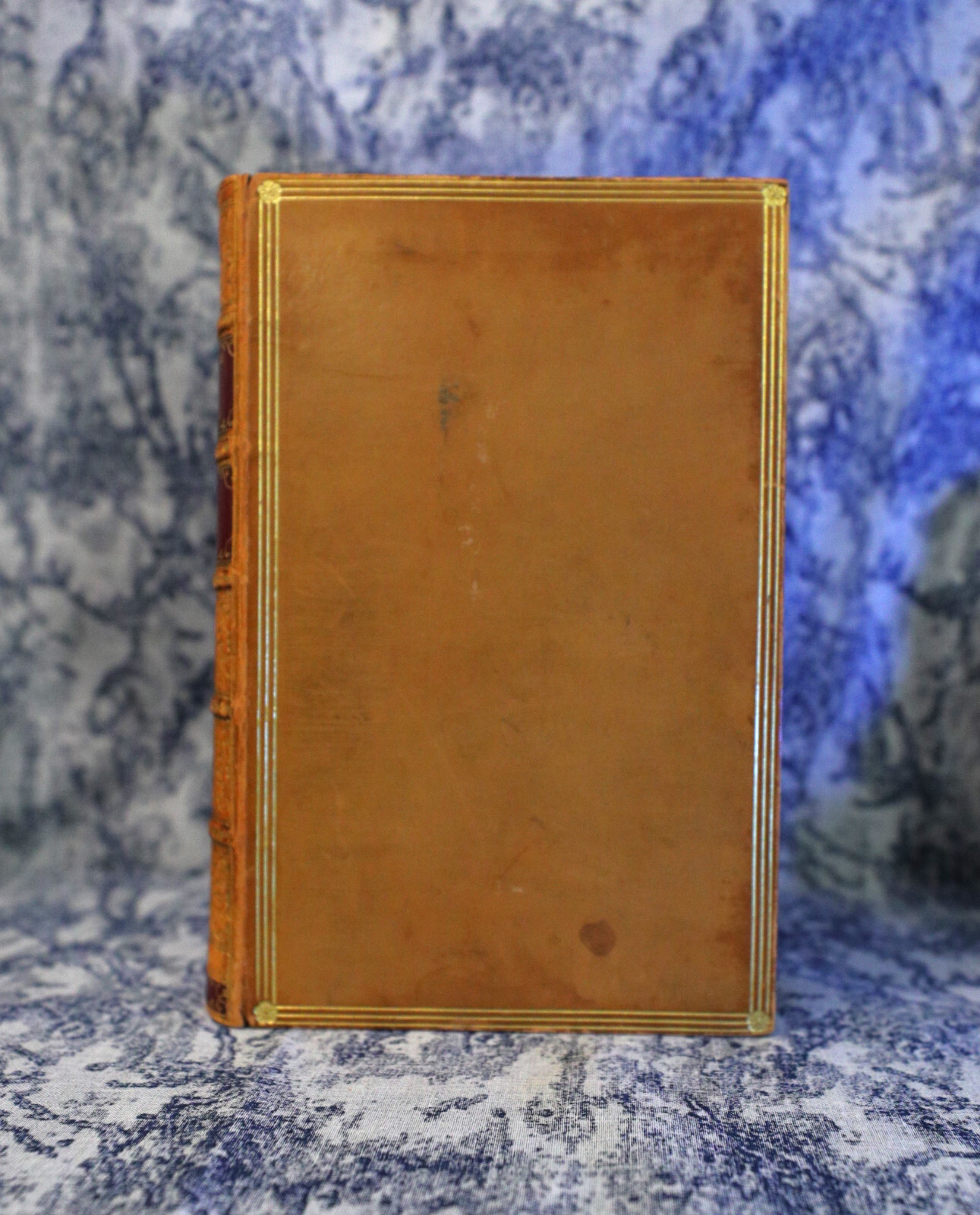 [Sh12] Fine Binding Zaehnsdorf, 1848, Adventures of Oliver Goldsmith, J Forster