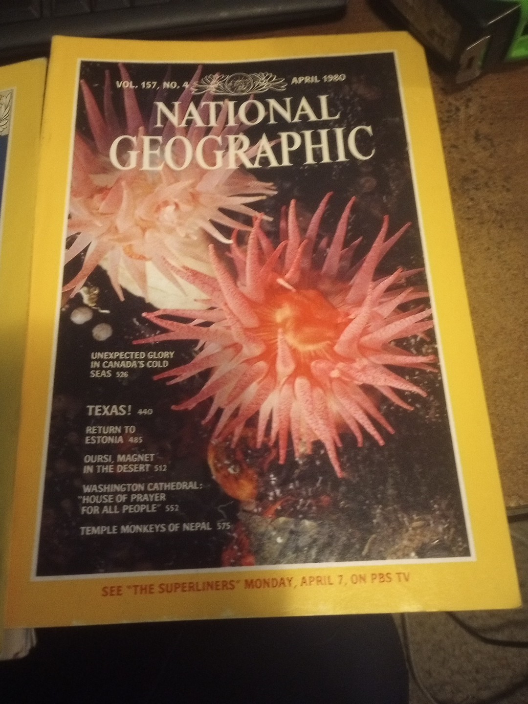 National Geographic Magazines 1976- 1983 You Pick The Issues 2.50-4.00
