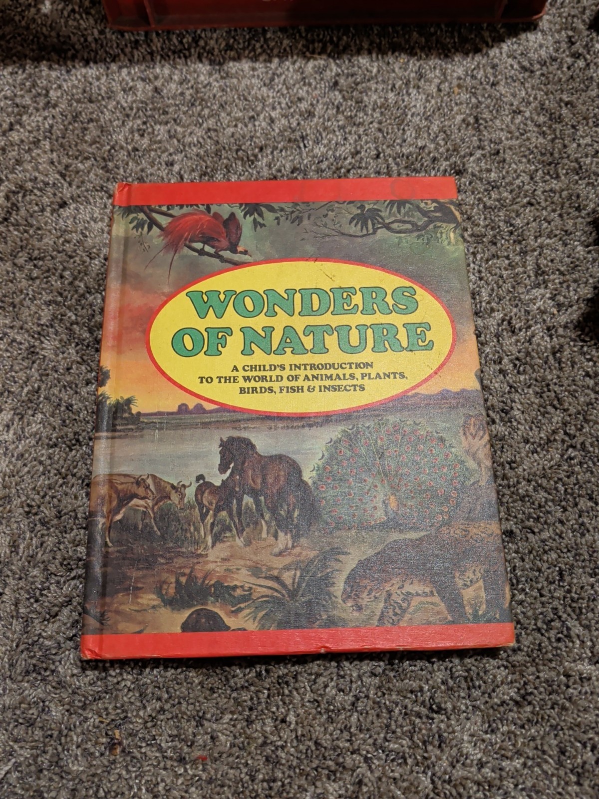 Wonders Of Nature Vintage 1974 Hardcover Published by Parents’ Magazine Press O6