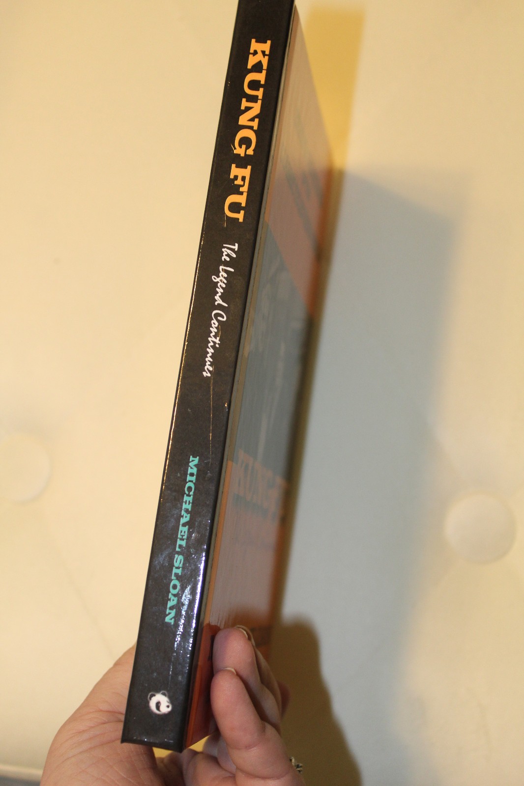 Kung Fu (hardback): The Legend Continues (Hardback or Cased Book)