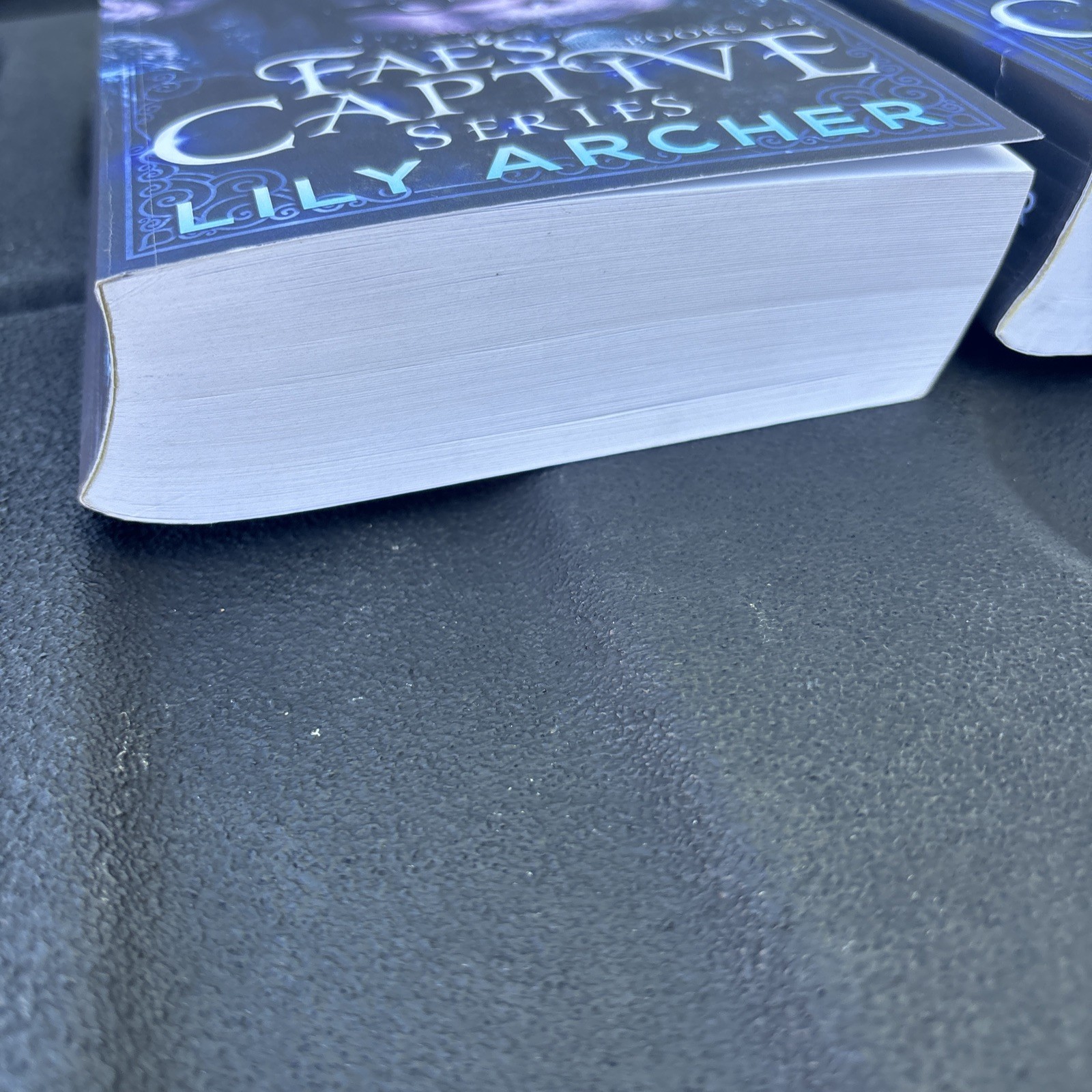 Fae’s Captive: Books 1-4 & 5-8 by Lily Archer Paperback Set