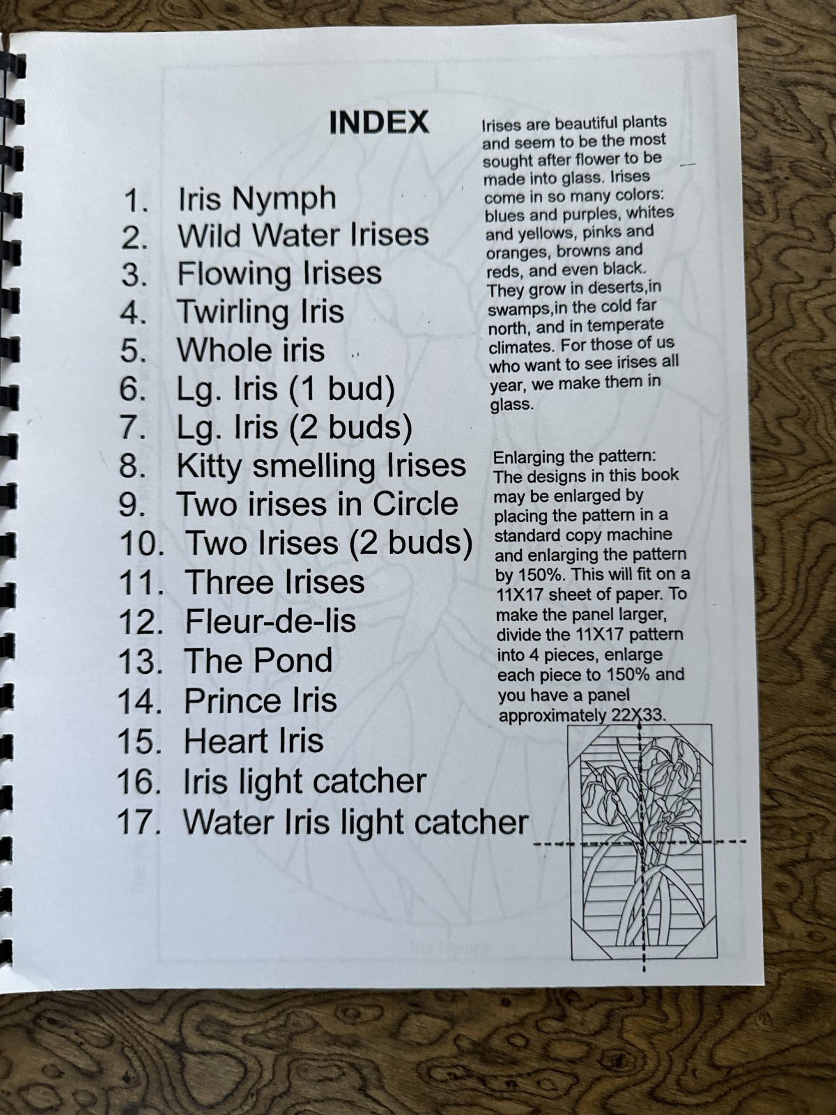 Irises Coloring Book Spiral Binding 20 Pages NEW 2002