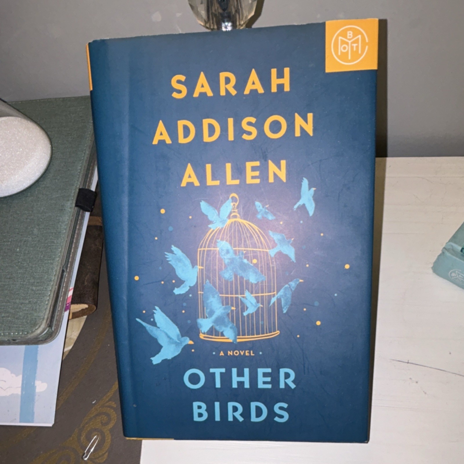 Sarah Addison Allen Other Birds: Novel Hardcover Dust Jacket Fiction