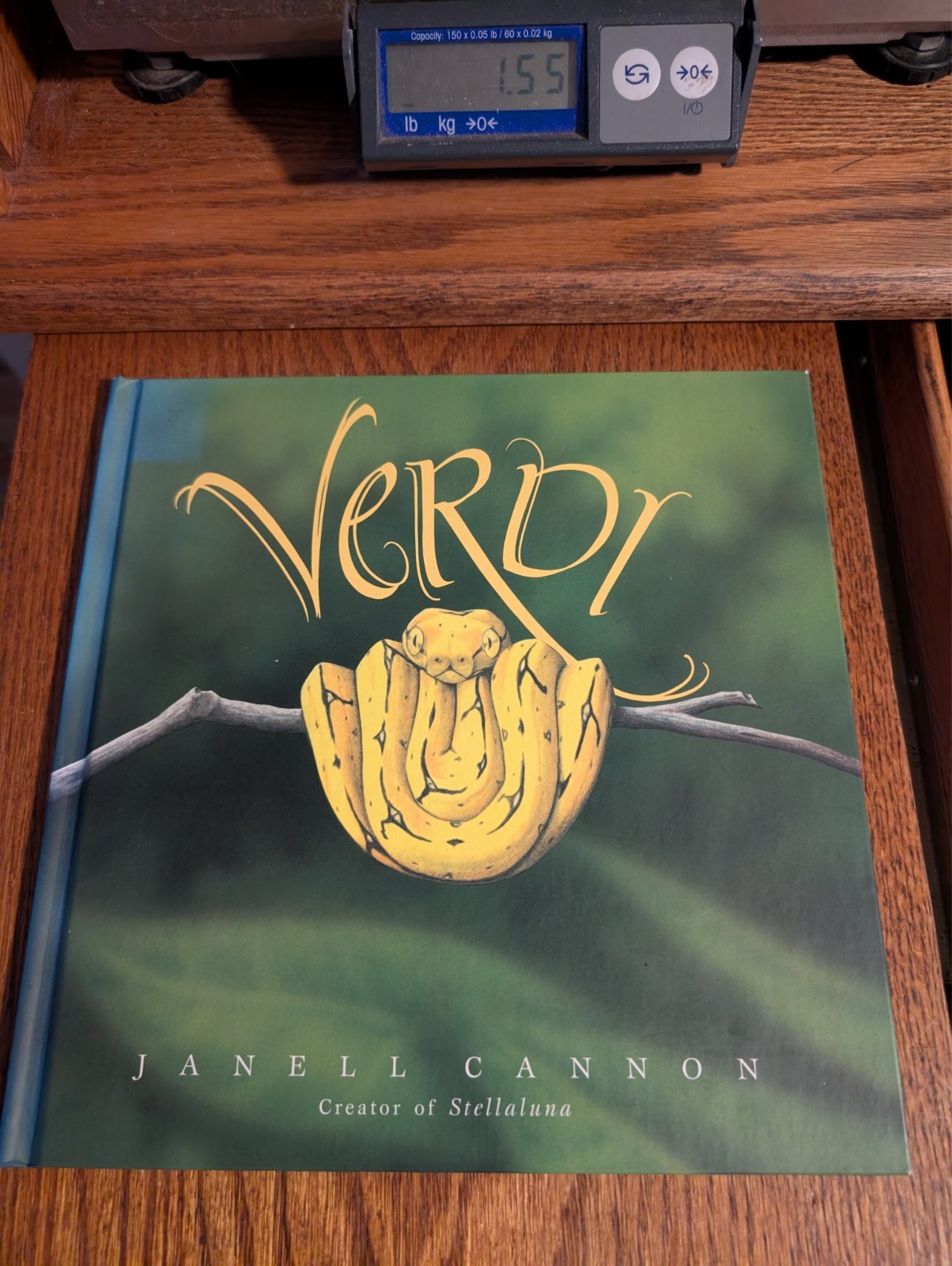 VERDI By Janell Cannon – Hardcover *Excellent Condition* 1st 1st