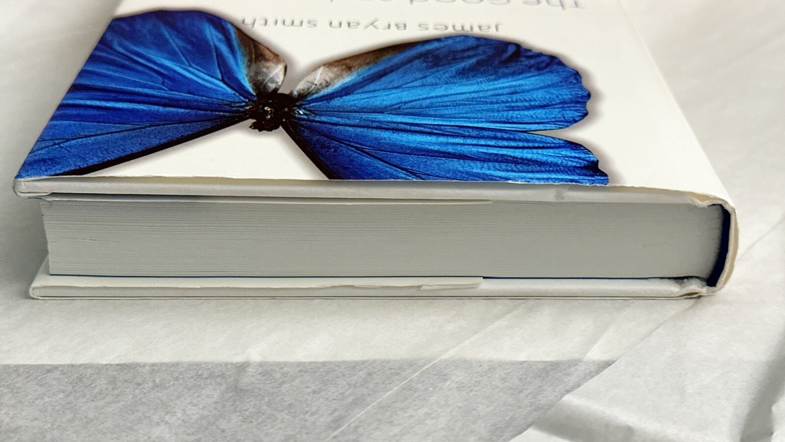 The Good and Beautiful LIFE ~ Apprentice Series ~ James Bryan Smith