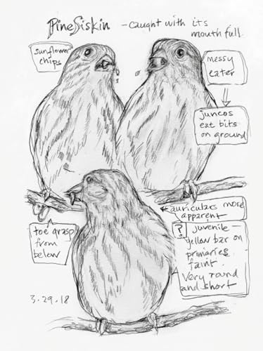 The Backyard Bird Chronicles by Amy Tan Nature and Birding Exploration