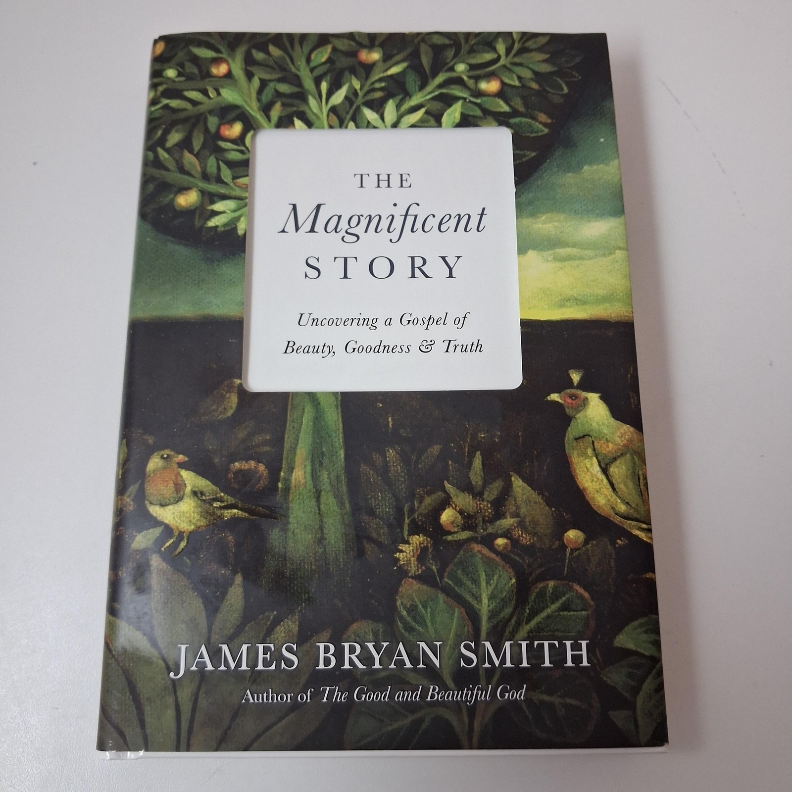 The Magnificent Story James Bryan Smith HC Christian Spiritual Formation Book