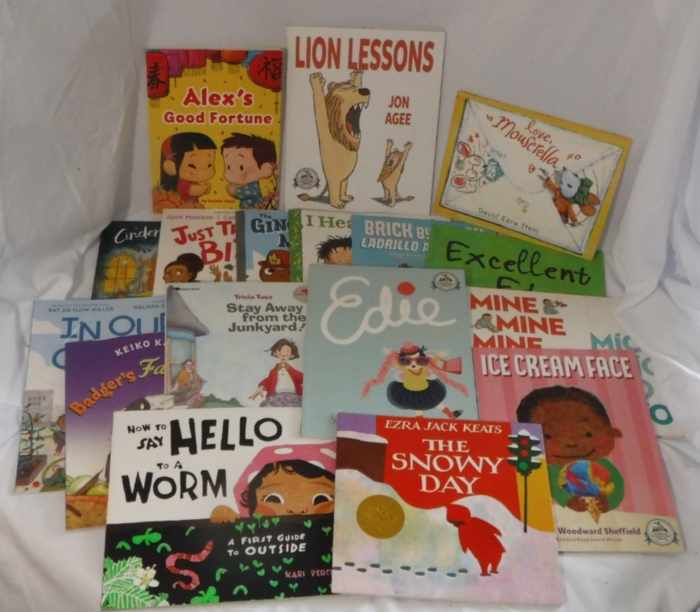 17 Dolly Parton Imagination Library Kids PB Books Lot No Duplicates Homeschool