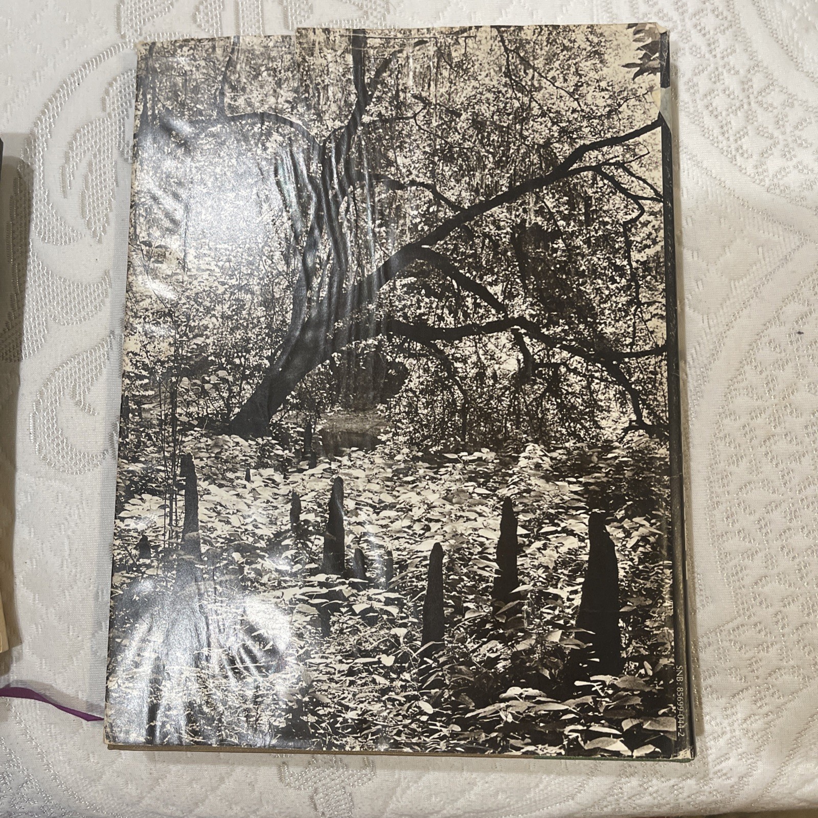 The Big Thicket: A Challenge for Conservation by A. Y. Gunter