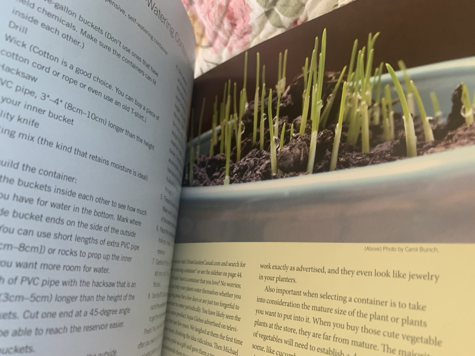 I Garden – Urban Style