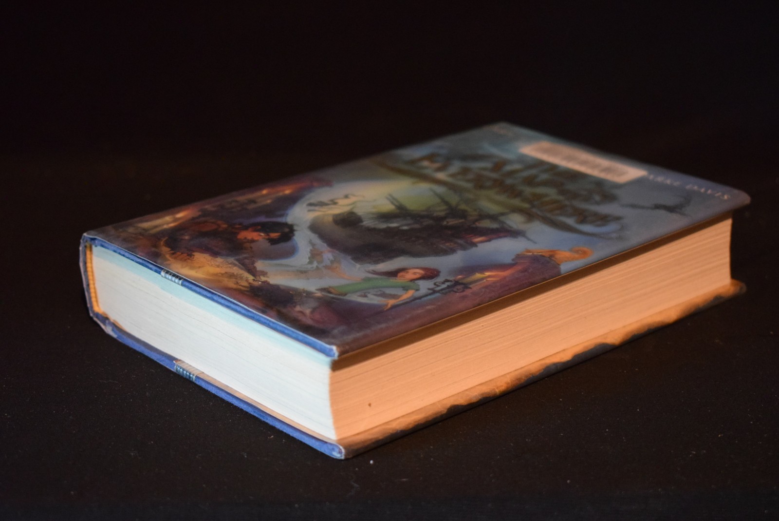 The Map to Everywhere by Carrie Ryan ~ c 2014 ~ Pages 437 ~ Hardcover~Ex Library