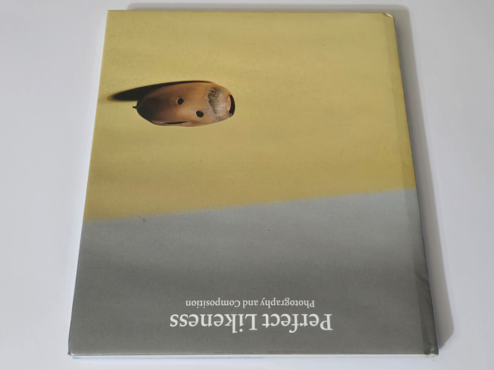 PERFECT LIKENESS SEALED WILLIAM EGGLESTON PHOTOGRAPHY COMPOSITION ART PHOTO BOOK