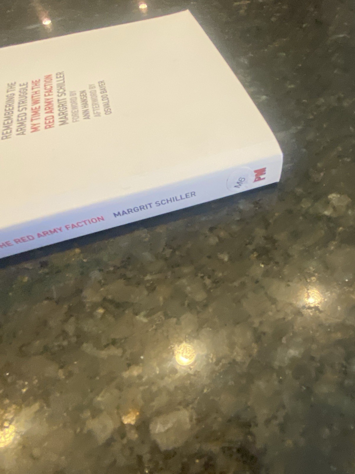 Remembering the Armed Struggle : My Time with the Red Army Faction by Margrit…