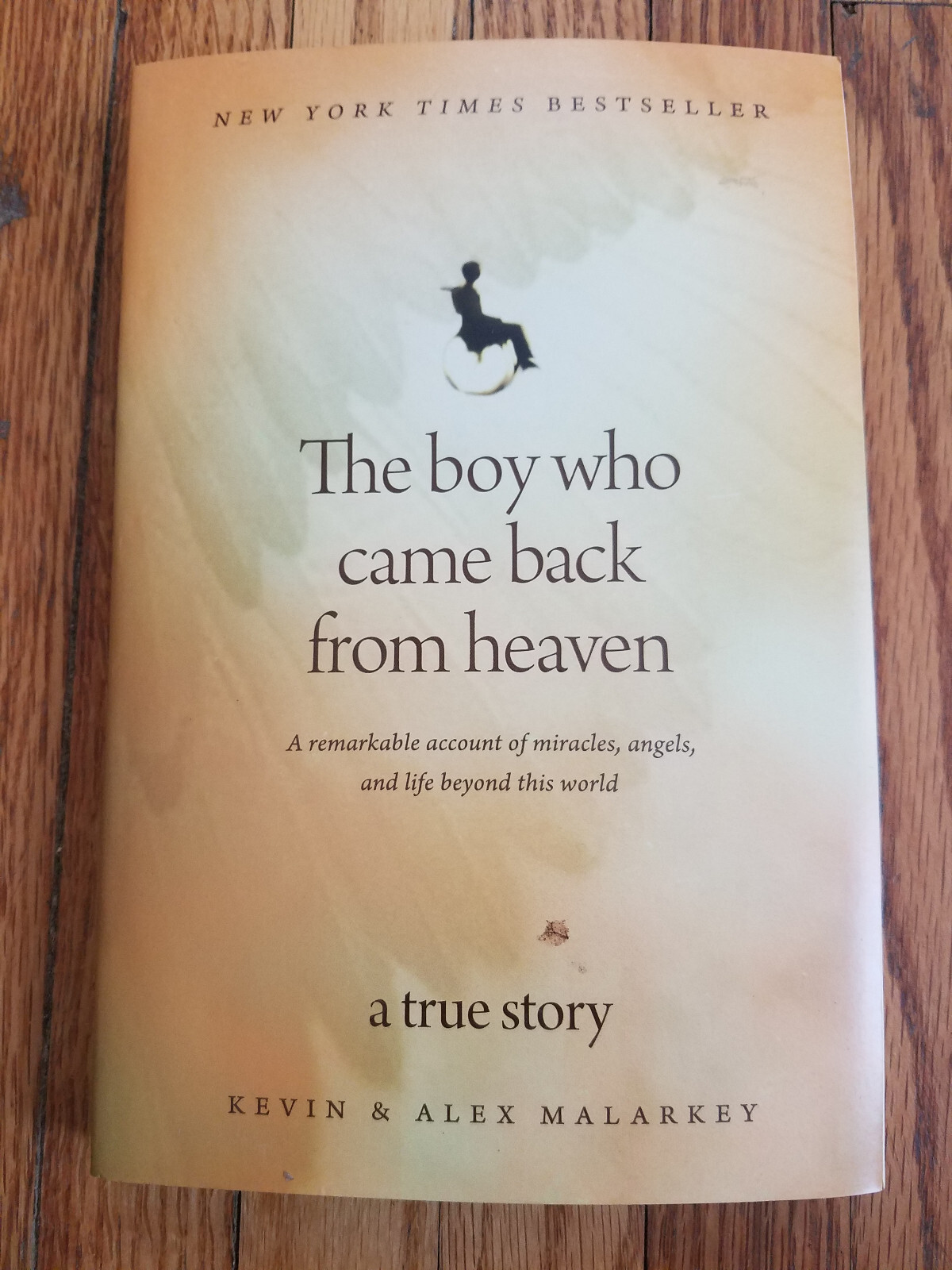 The Boy Who Came Back from Heaven: A Remarkable Account of Miracles, Angels,…