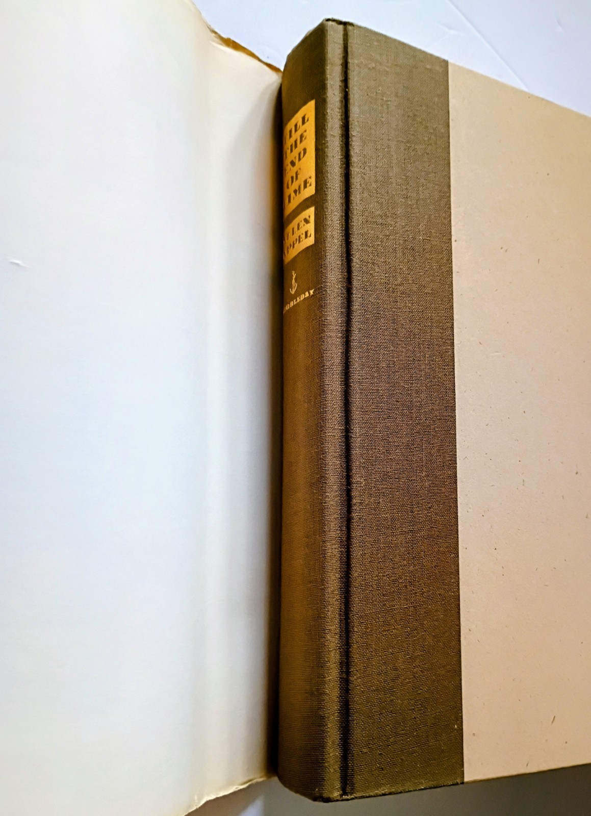 Till the End of Time by Allen Appel (1990, Hardcover)