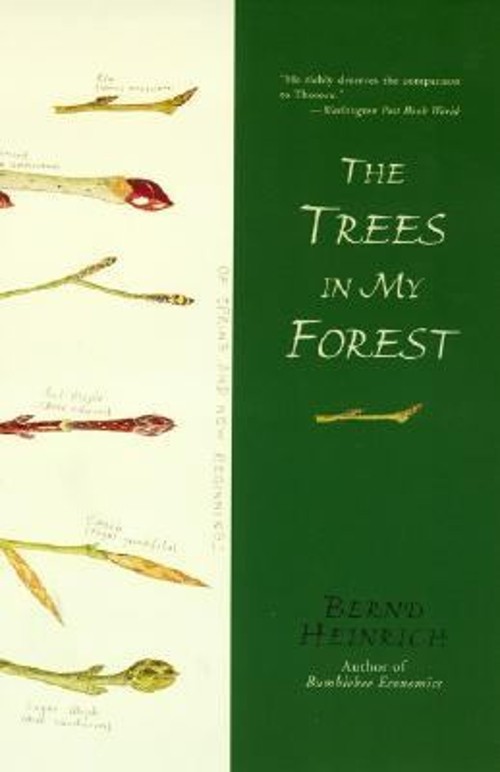 The Trees in My Forest Paperback Bernd Heinrich