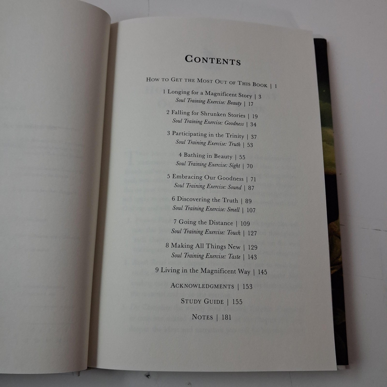 The Magnificent Story James Bryan Smith HC Christian Spiritual Formation Book