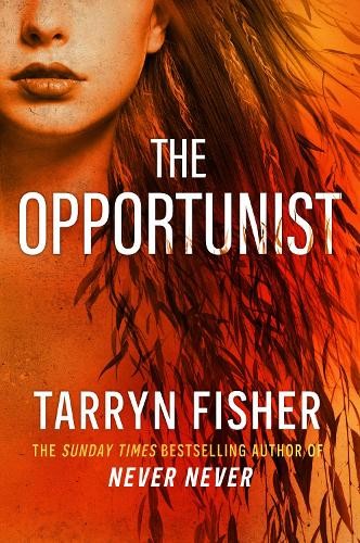 Tarryn Fisher The Opportunist (Paperback) Love Me with Lies (UK IMPORT)