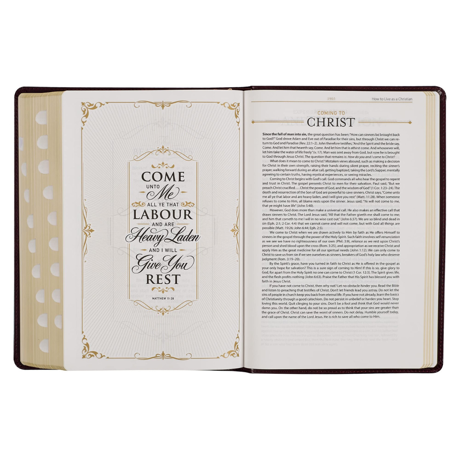 KJV Study Bible Large Print Thumb Indexed 2 Ribbons BRAND NEW in Shrink Wrap!!!