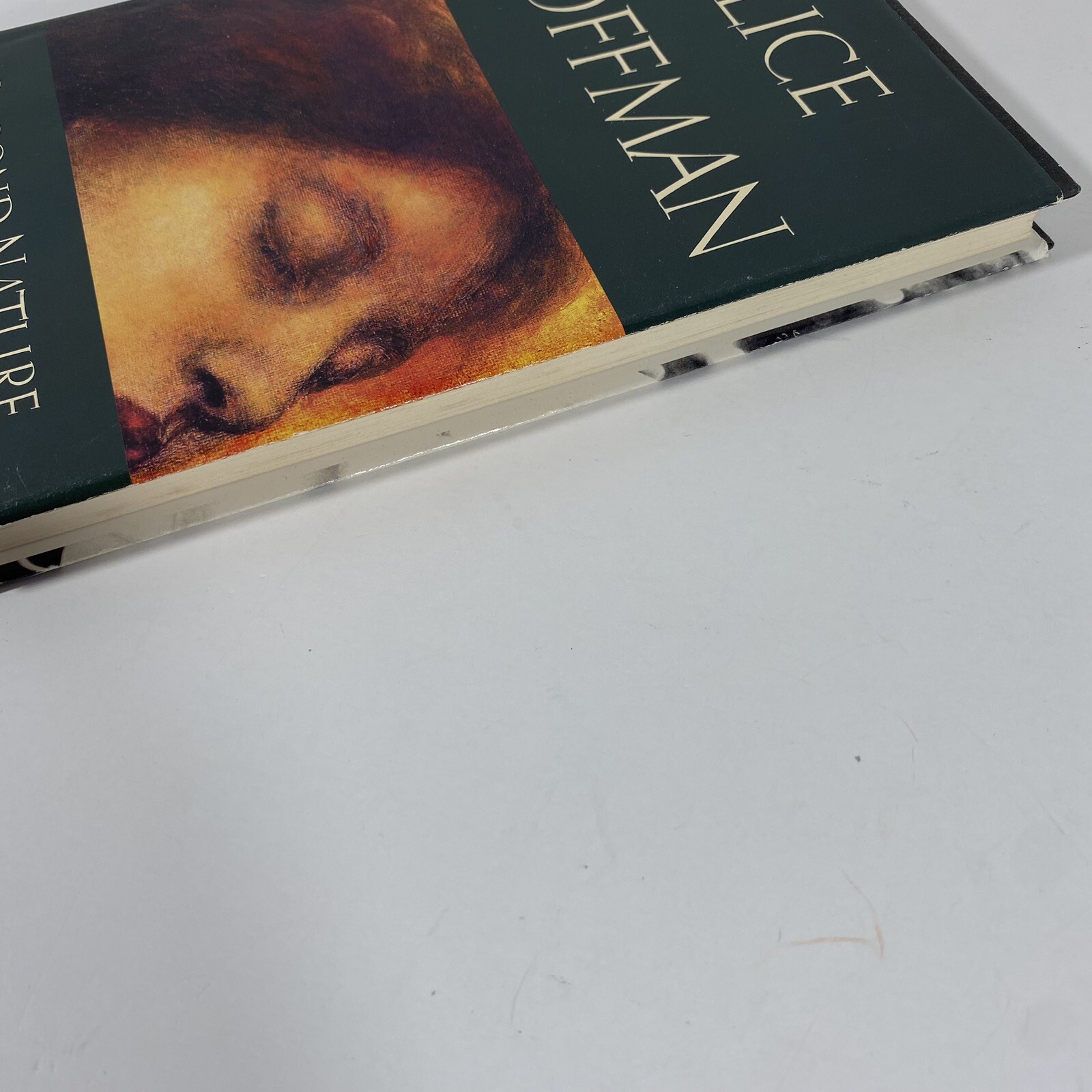 Second Nature By Hoffman Alice Hardcover 1994 Book Novel GOOD