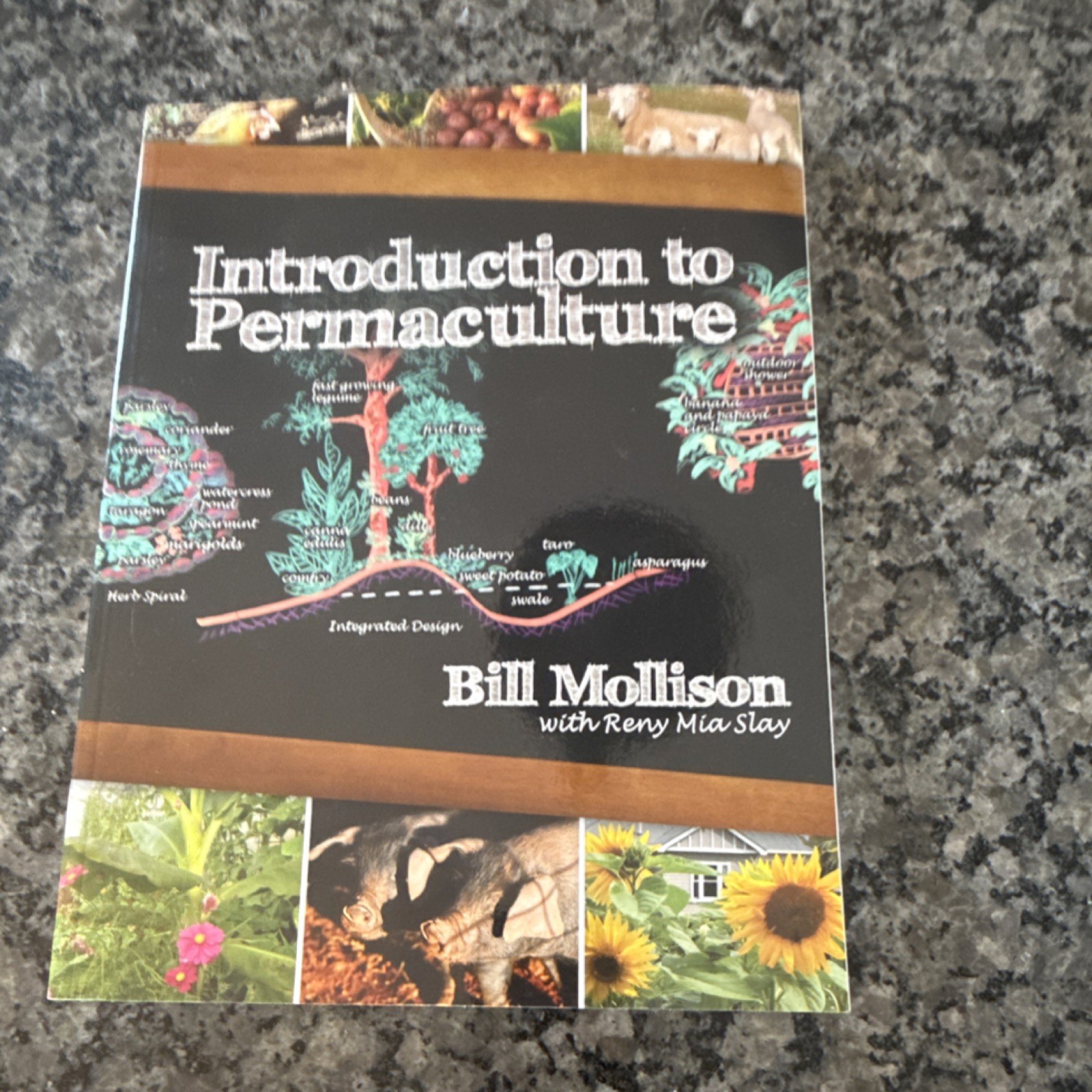 Introduction to Permaculture by Bill Mollison & Reny Mia Slay Paperback English