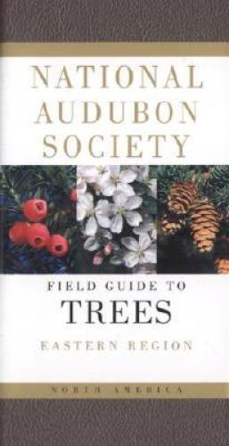 Audubon Society Field Guide to North American Trees: Eastern Region – GOOD