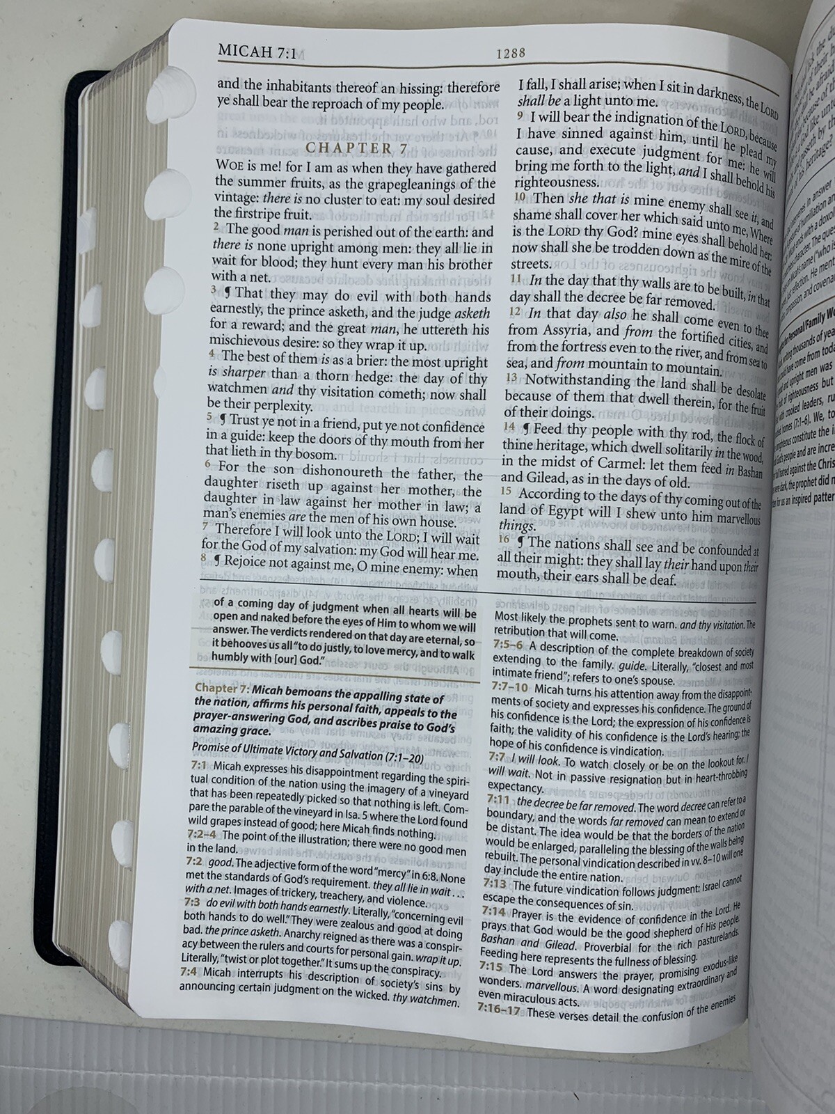 KJV Large Print Study Bible Two-Tone Black/Burgundy Full Grain Leather INDEX 11P