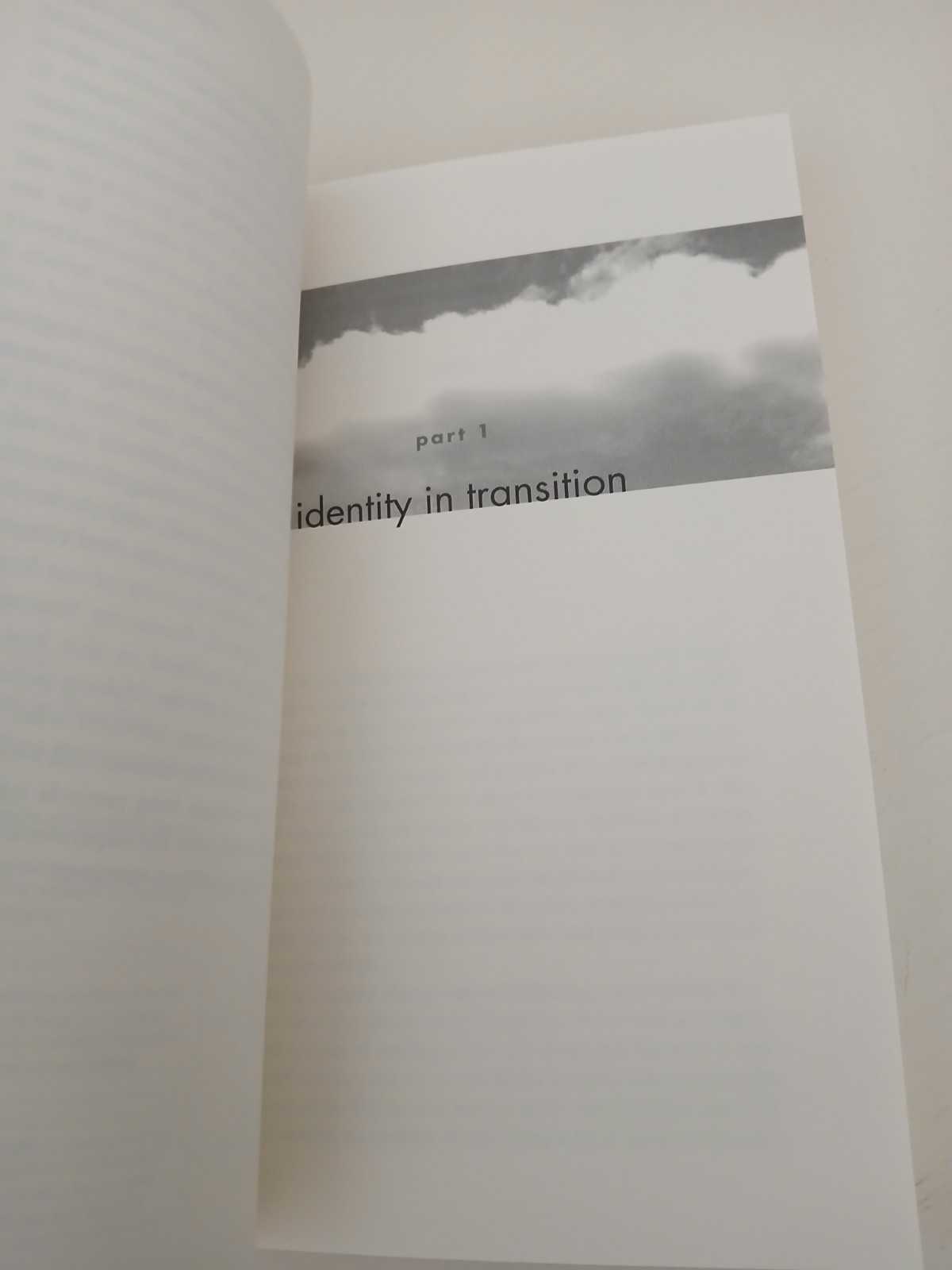 Working Identity: Unconventional Strategies for… – Ibarra, Herminia
