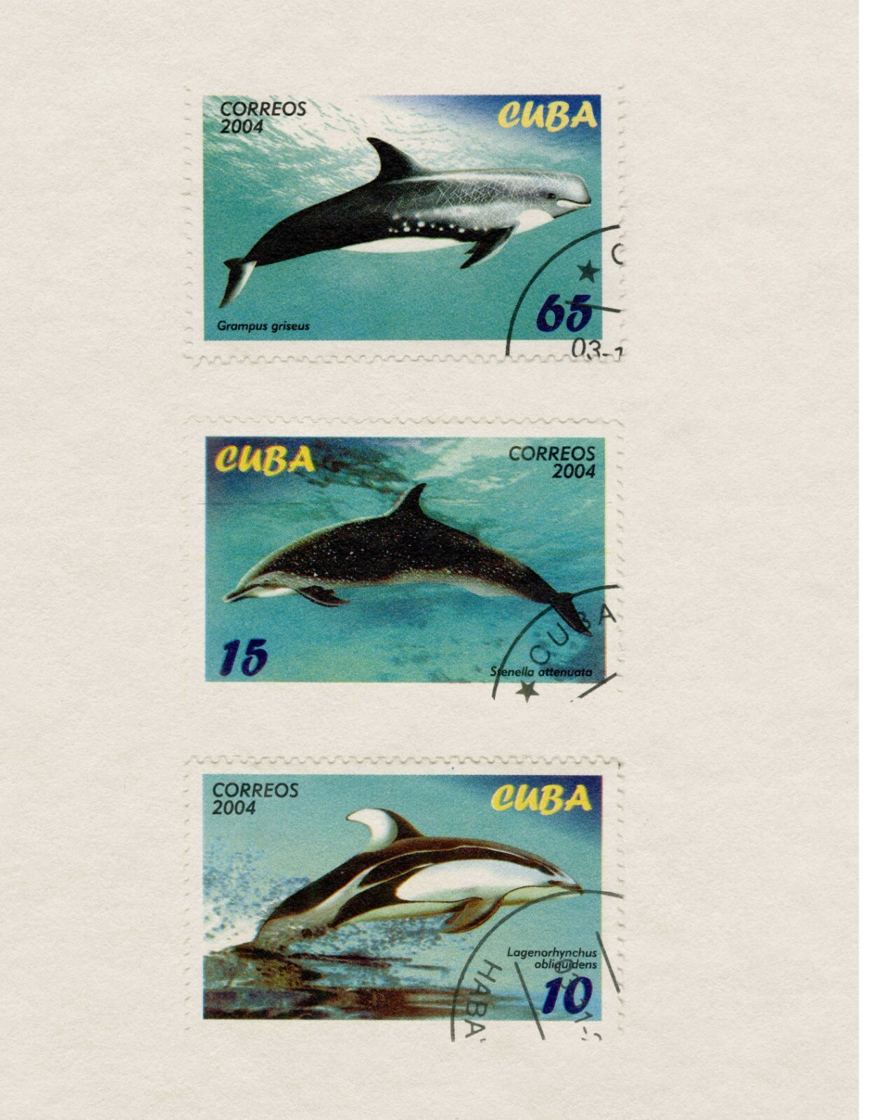 HARDCOVER 101 Fish on Stamps Volume 1: The Art of Sea Life on Postage Stamps