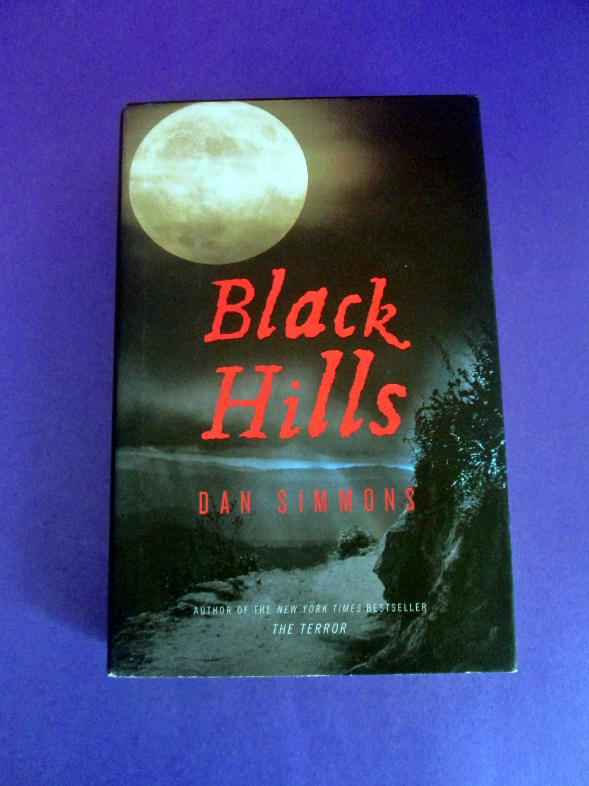 Black Hills by Dan Simmons 1st Edition/1st Print HCDJ HORROR!