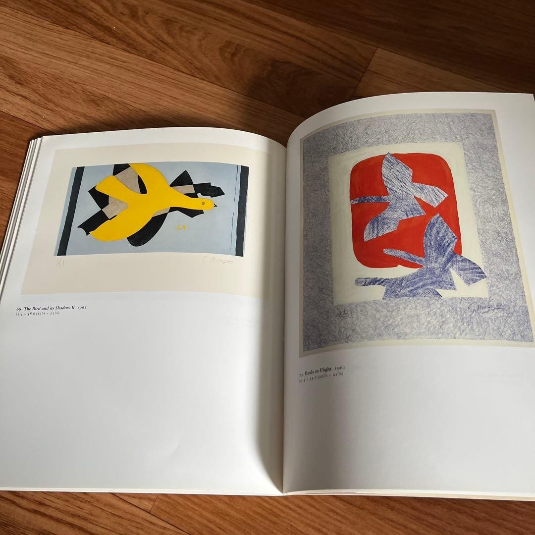 Georges Braque Printmaker Art Book Tate Gallery 80 pages 10.6 x 8.3 in