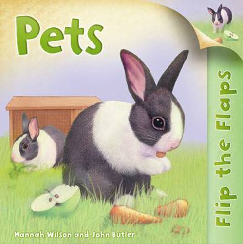 Flip The Flaps: Pets paperback Used – Good