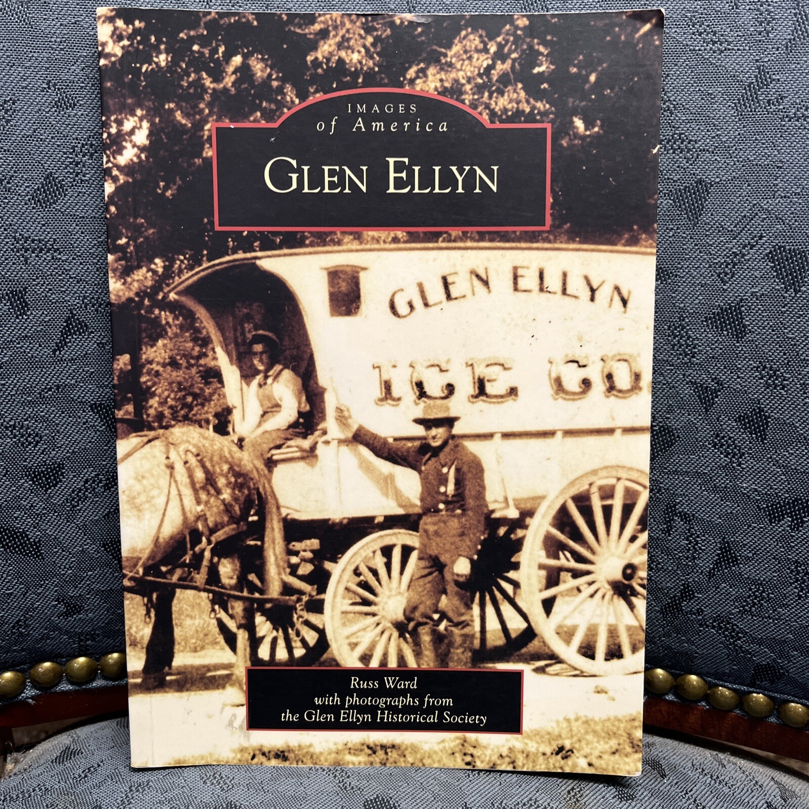 Images of America Ser.: Glen Ellyn (2006,)