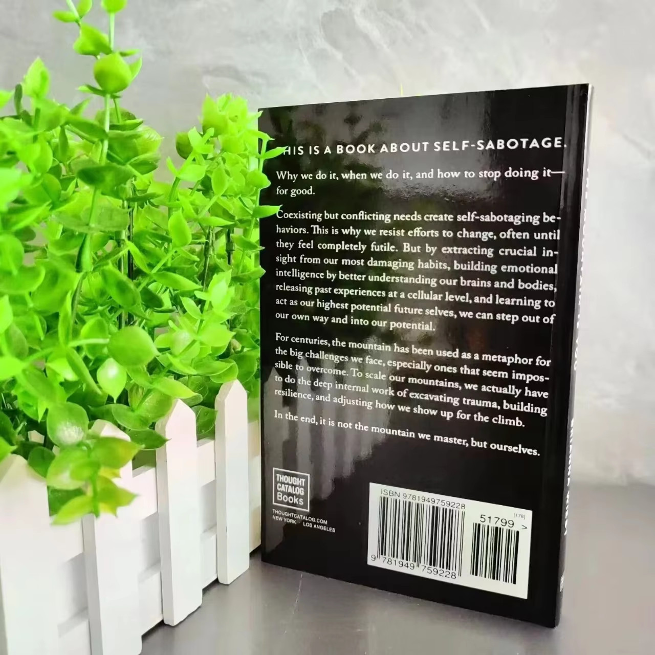 The Mountain Is You by Brianna Wiest: Conquer Your Inner Mountains – Paperback