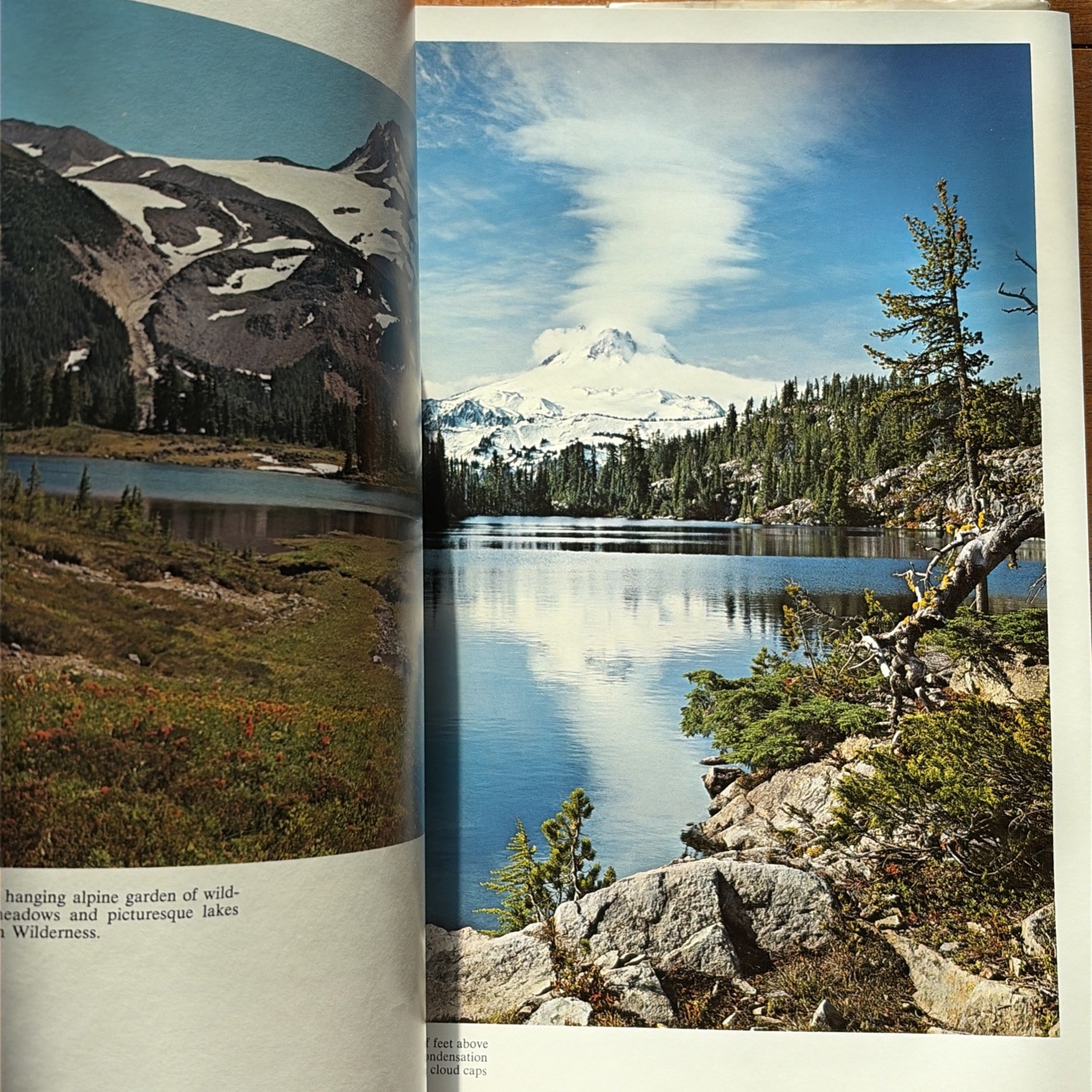 The Cascade Range by Ray Atkeson, 1969