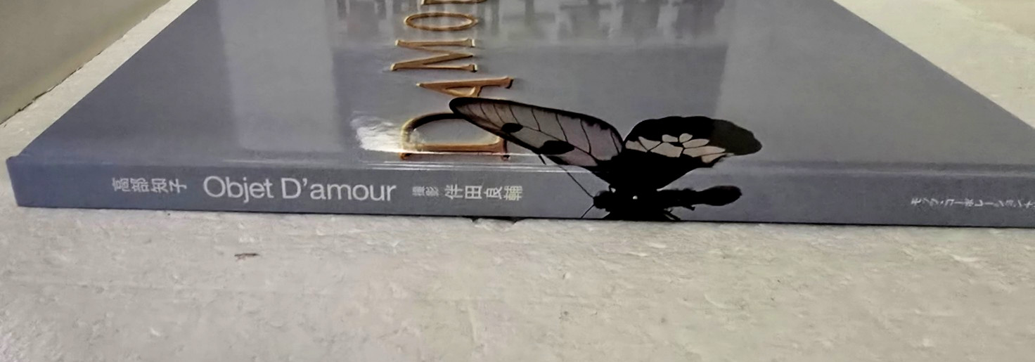 OBJET D`AMOUR (1999, Hardcover) Ryosuke Handa – 1st Edition w/ Adult Sexy Photos