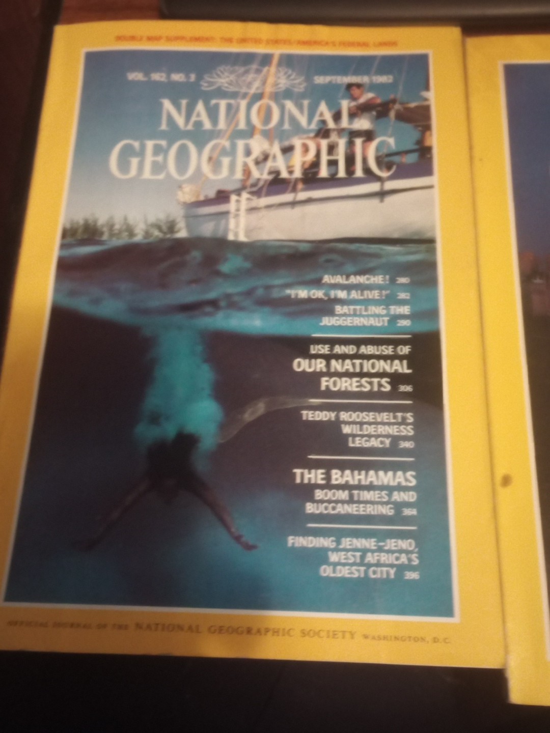 National Geographic Magazines 1976- 1983 You Pick The Issues 2.50-4.00