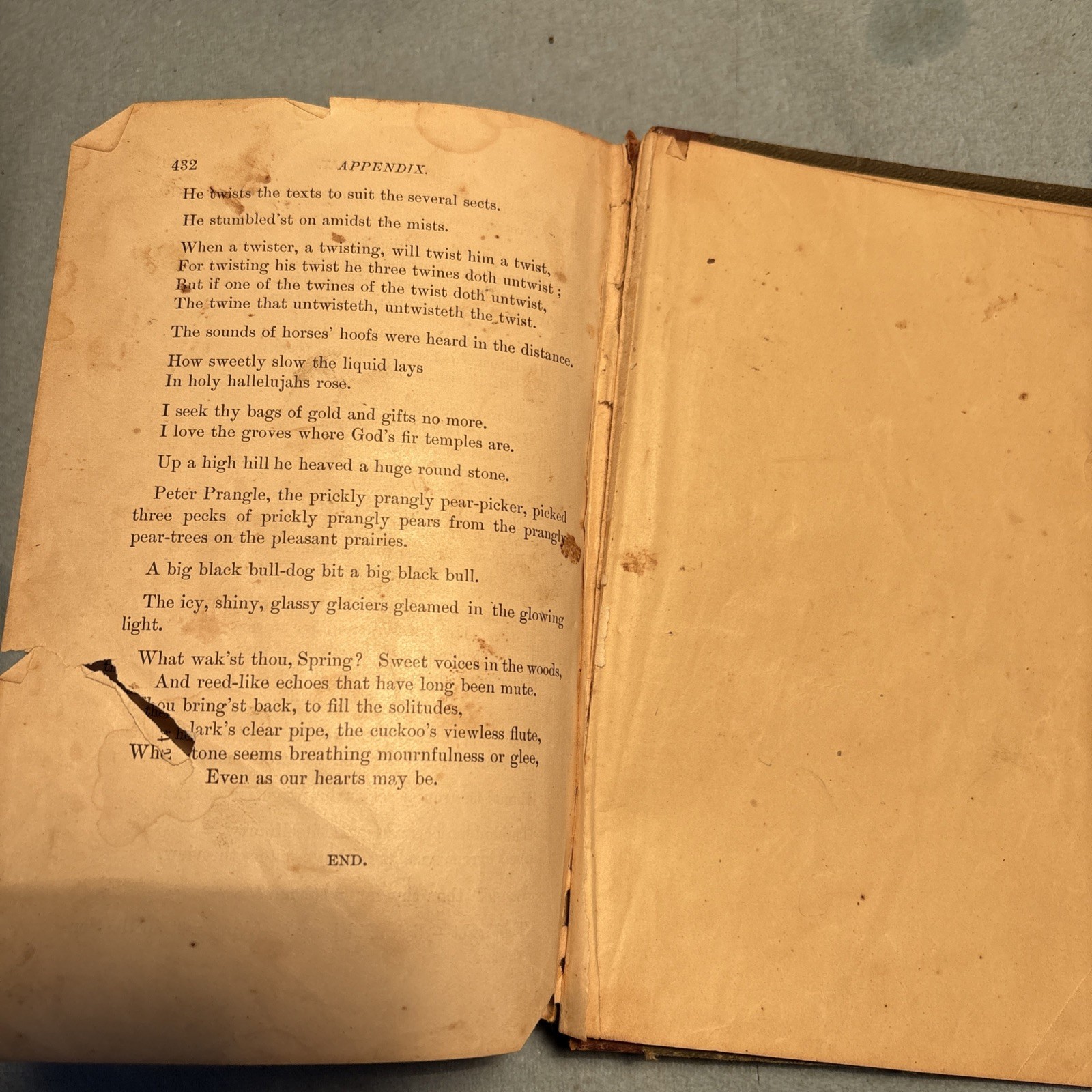Sheldon’s Fifth Reader By E.A. Sheldon (Scribner,Armstrong,And Co. 1875 free shi
