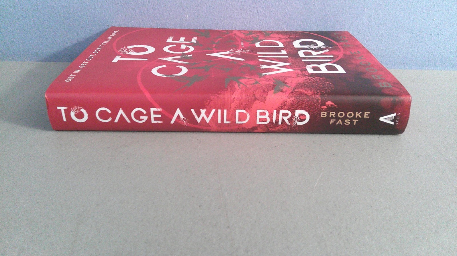 To Cage A Wild Bird 2025 HC Deluxe Limited Edition by Brooke Fast
