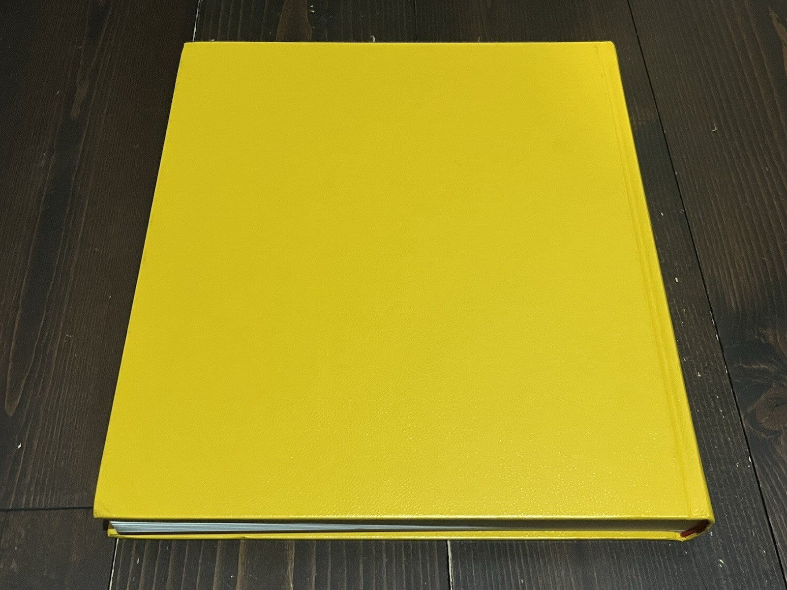 William Eggleston BEFORE COLOR STEIDL PHOTO BOOK 2010 1ST EDITION USED