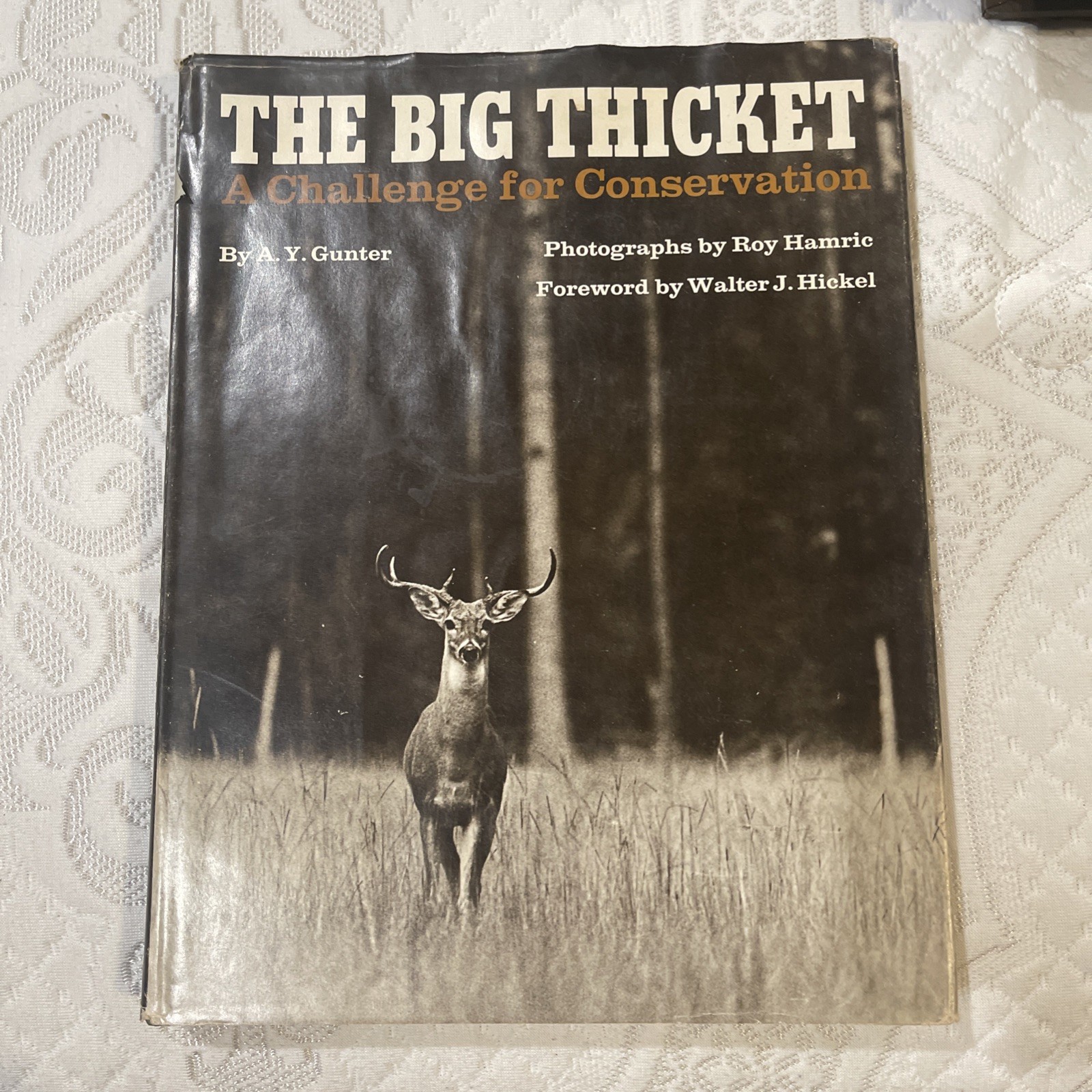 The Big Thicket: A Challenge for Conservation by A. Y. Gunter